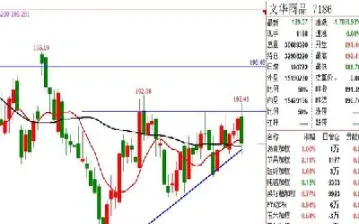 商品期货怎么强平(商品期货怎么投资)_https://www.hougads.com_恒指直播室_第1张