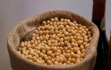 豆粕期货长时间贴水原因(豆粕期货长时间贴水原因是什么)_https://www.hougads.com_恒指直播室_第1张