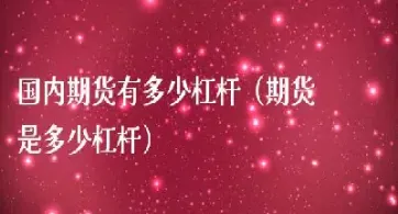 国内商品期货杠杆多少(期货杠杆分别是多少)_https://www.hougads.com_恒指学院_第1张