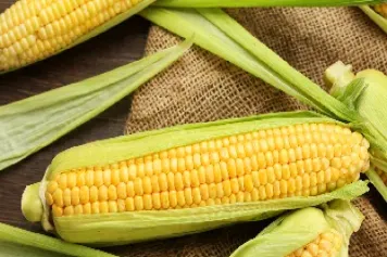 玉米期货领跌美国农产品(玉米期货领跌美国农产品会涨吗)_https://www.hougads.com_恒指学院_第1张