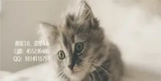 做期货别人问怎么说(做期货怎么介绍自己)_https://www.hougads.com_恒指期货_第1张