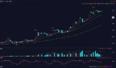 期货盘主要看哪些数据库(期货盘主要看哪些数据库的)_https://www.hougads.com_恒指直播室_第1张