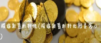 国内期货最多几倍杠杆(国内期货杠杆倍数)_https://www.hougads.com_恒指学院_第1张
