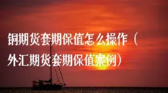 套保期货对方不履约交易怎么办(期货的套保是怎样交易的)_https://www.hougads.com_恒指期货_第1张