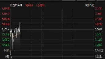 中证500股指期货上市涨了多少(中证500股指期货上市时间)_https://www.hougads.com_恒指期货_第1张