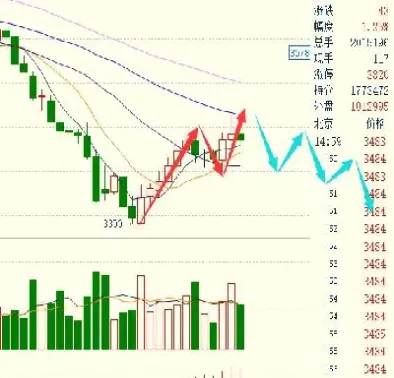 橡胶期货与棕榈油期货(橡胶期货跟原油)_https://www.hougads.com_恒指直播室_第1张