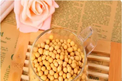 大豆期货手续费为什么有两个标准(大豆期货保证金多少)_https://www.hougads.com_恒指学院_第1张