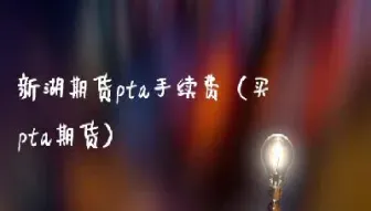 新湖期货手续费返佣(新湖期货手续费标准)_https://www.hougads.com_恒指学院_第1张