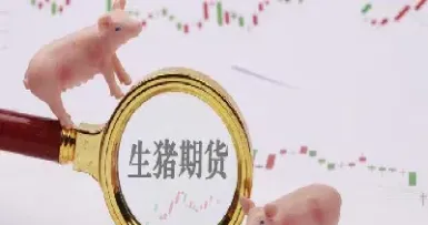 当前猪价与猪期货有关联吗(猪期货对猪价有影响吗)_https://www.hougads.com_恒指期货_第1张