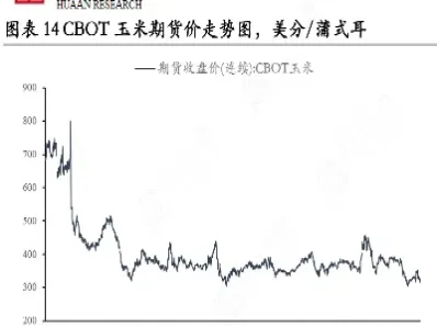 玉米期货的杠杆率(玉米期货的主力)_https://www.hougads.com_恒指直播室_第1张