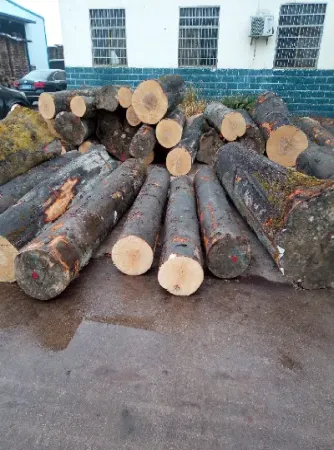 与木材相关的期货(国内有木材期货吗)_https://www.hougads.com_恒指期货_第1张