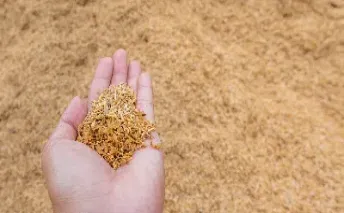 豆粕期货成靓丽风景线(豆粕期货逆势拉涨)_https://www.hougads.com_恒指直播室_第1张