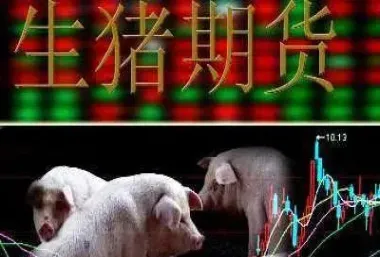 期货猪肉和股票关系(期货和股票的涨跌有关系吗)_https://www.hougads.com_恒指期货_第1张