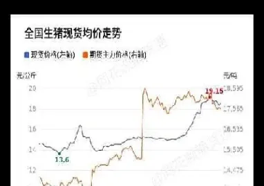 猪肉期货行情怎么看(热卷期货行情怎么看走势)_https://www.hougads.com_恒指学院_第1张