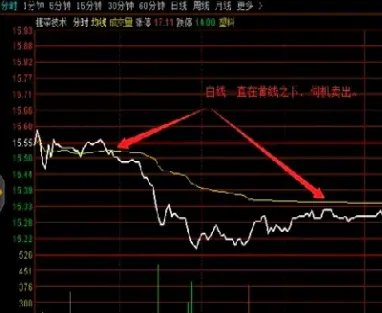 做期货怎么看大盘(期货的大盘指数在哪看)_https://www.hougads.com_恒指期货_第1张