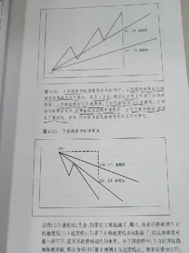 期货的20条观点(纸浆期货每日观点分析)_https://www.hougads.com_恒指直播室_第1张