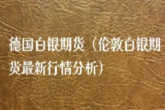 交易所返还白银期货多少(交易所白银期货手续费)_https://www.hougads.com_恒指学院_第1张