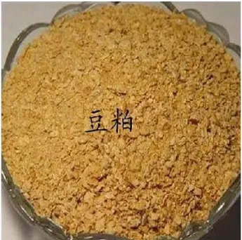 期货豆油和什么有关(期货豆油以哪个为准)_https://www.hougads.com_恒指学院_第1张