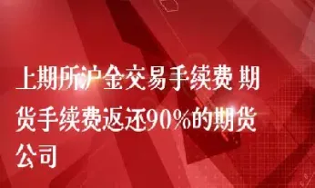 沪金期货怎么收手续费(沪金期货一手保证金和手续费)_https://www.hougads.com_恒指学院_第1张