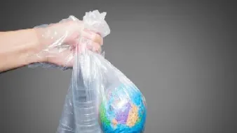 纸浆期货限塑令(纸浆期货持仓限制)_https://www.hougads.com_恒指学院_第1张