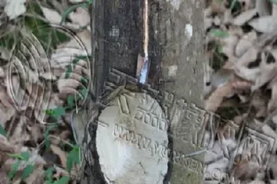 橡胶期货不好做(橡胶期货和什么有关)_https://www.hougads.com_恒指期货_第1张