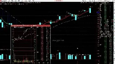 期货早盘抓涨停的原因有哪些(期货早盘抓涨停的原因有哪些方面)_https://www.hougads.com_恒指直播室_第1张