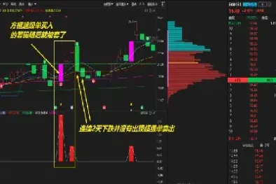 期货超级大单方向(期货大单什么意思)_https://www.hougads.com_恒指直播室_第1张