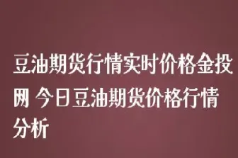 期货的豆油指数是多少(期货豆油怎么算当前油价)_https://www.hougads.com_恒指期货_第1张