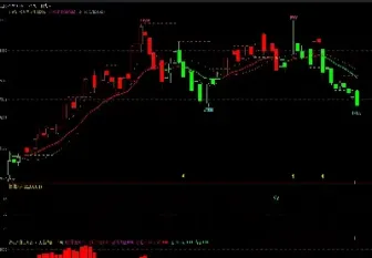 期货新手适合什么品种(新手可以买期货哪个品种)_https://www.hougads.com_恒指直播室_第1张