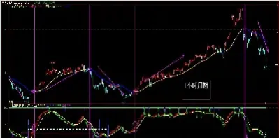 期货市场的交易机制包括(期货市场的交易机制和规则)_https://www.hougads.com_恒指直播室_第1张