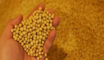 原油期货和豆粕期货有关联吗(豆粕期货原油期货)_https://www.hougads.com_恒指学院_第1张