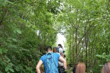 期货的交易模式对比(期货的交易和股票交易)_https://www.hougads.com_恒指直播室_第1张