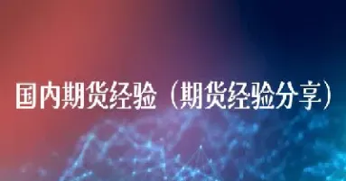 国内期货怎么做(在国内怎么做国际期货)_https://www.hougads.com_恒指直播室_第1张