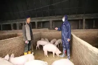 养殖和期货有用吗(养殖业保险期货种类)_https://www.hougads.com_恒指学院_第1张