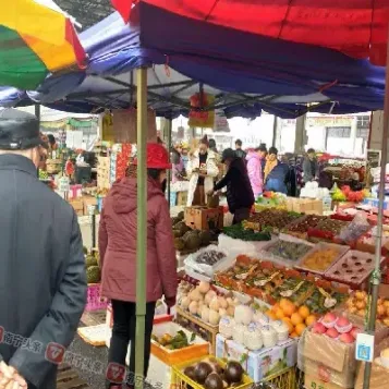 南宁农产品期货市场(郑州农产品期货)_https://www.hougads.com_恒指学院_第1张