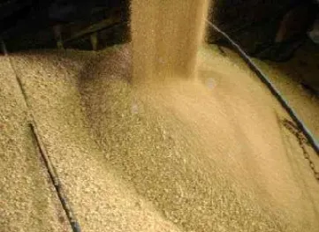 豆粕期货1901(豆粕期货2001价格)_https://www.hougads.com_恒指直播室_第1张