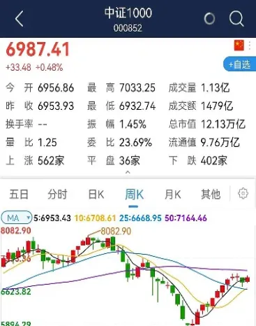 中证股指期货的杠杆是多少(中证股指期货的杠杆是多少倍)_https://www.hougads.com_恒指期货_第1张