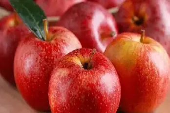 苹果期货指标(苹果期货指标查询)_https://www.hougads.com_恒指学院_第1张