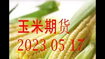 玉米期货基础知识(玉米期货什么意思?)_https://www.hougads.com_恒指学院_第1张