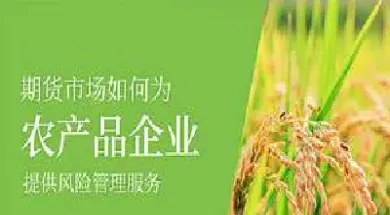 农作物期货市场的主要功能(农作物期货市场的主要功能包括)_https://www.hougads.com_恒指直播室_第1张