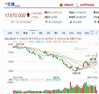 生猪期货上市经过哪些阶段交易(生猪期货上市的原因和目的)_恒指期货_第1张_厚德恒指期货直播室 生猪期货上市经过哪些阶段交易(生猪期货上市的原因和目的)_https://www.hougads.com_恒指期货_第1张