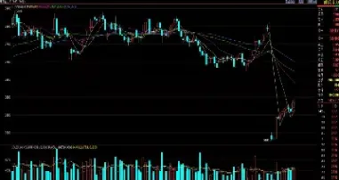 期货中波动一个点是什么意思(期货里面波动大的品种有哪些)_https://www.hougads.com_恒指学院_第1张
