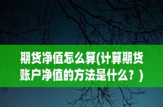 期货中的累计净值是什么意思(期货账户的净值是指什么)_https://www.hougads.com_恒指学院_第1张