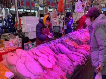 如何买期货海鲜交易(什么叫海鲜期货)_https://www.hougads.com_恒指学院_第1张