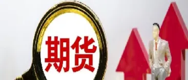 期货的投保是什么意思(期货申报费是什么意思)_https://www.hougads.com_恒指直播室_第1张