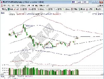 深市股指期货品种(深市股指期货品种大全)_https://www.hougads.com_恒指直播室_第1张