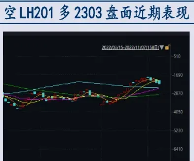 2311和2401生猪期货价格(生猪期货lh2109价格)_https://www.hougads.com_恒指直播室_第1张