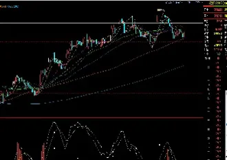 豆粕2409期货最新行情(豆粕期货最新价格)_https://www.hougads.com_恒指学院_第1张