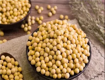 豆粕期货与美元的关系(豆粕期货跟美豆粕关系)_https://www.hougads.com_恒指期货_第1张