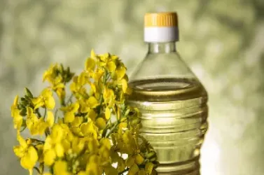 菜籽油毛油期货价格(菜籽油期货最新价格行情)_https://www.hougads.com_恒指学院_第1张